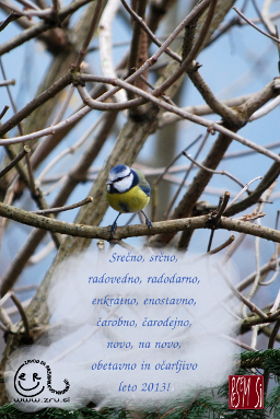 Srečno 2013