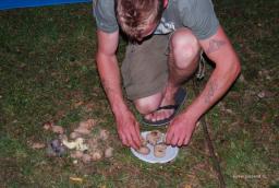 Piknik 2012