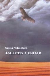 Jastreb u oluji